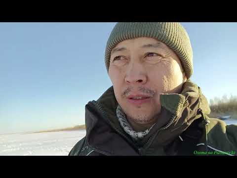 Видео: ЖДАЛИ ЭТОГО ВСЮ ОСЕНЬ! Открытие зимней рыбалки 2024 на Вячеславке.