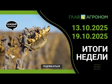 Видео: Итоги недели с ГлавАгроном. 13.10.2025 - 19.10.2025