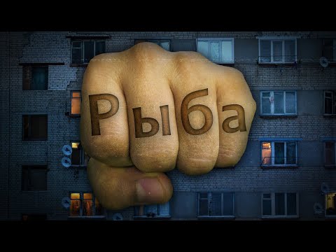 Видео: РЫБАЦКОЕ в Петербурге (Сплин, Пятерочка, Зенит)