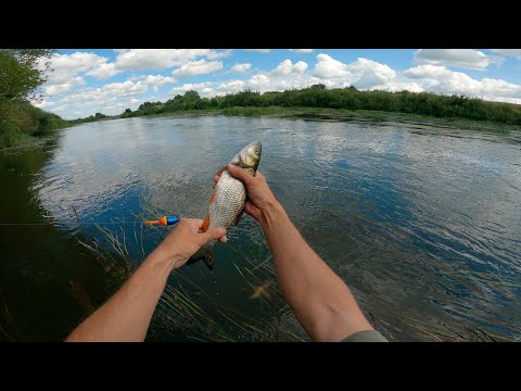 Видео: Рыбалка, голавль на перекатах, ловля на саранчу