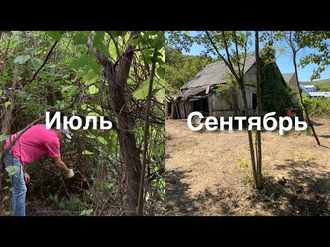 Видео: Вдвоем убрали заброшенный и заросший участок без инструментов