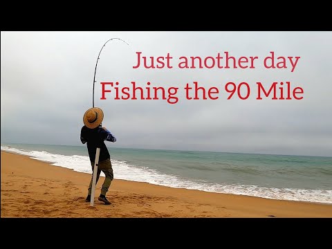 Видео: Ещё один день рыбалки на 90 миль... Обожаю! ep81