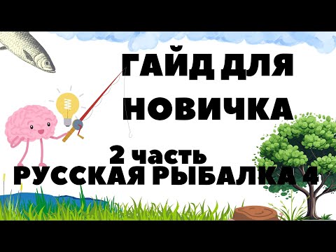 Видео: Гайд для новичка в игре Русская рыбалка 4 - часть 2 ( удочки, катушки, лески, крючки ) / РР4