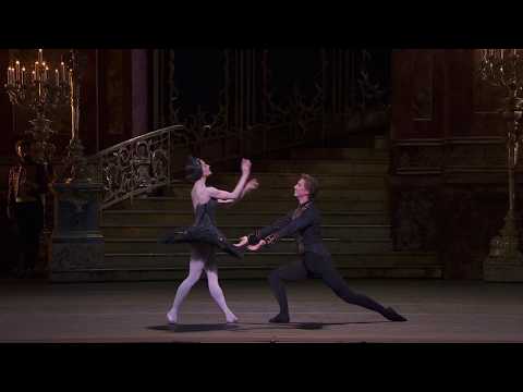 Видео: ЛЕБЕДИНОЕ ОЗЕРО балет в кинотеатрах.«Па-де-де Чёрного лебедя» из 3 акта.Королевский оперный театр