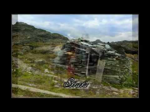 Видео: Оранжевое счастье.  / Orange happiness.