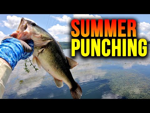 Видео: НИКОГДА НЕ ИСПОЛЬЗОВАЛ РЫБНУЮ оснастку? (ПОЧЕМУ переворачивание просто ловит БОЛЕЕ КРУПНУЮ рыбу!!!)