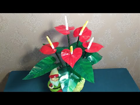 Видео: Антуриум из пластиковых бутылок. Мастер класс.