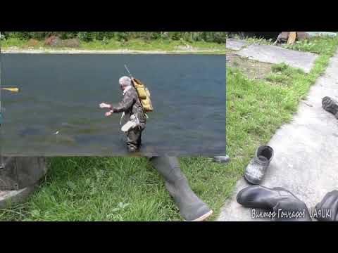 Видео: Сапоги болотные