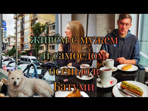 Видео: Осень пришла в Батуми а я продолжаю жить здесь с мужем и самоедом