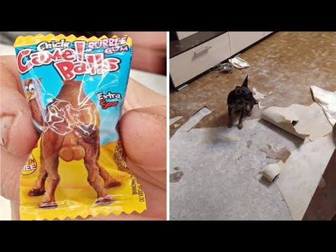 Видео: Фото подписчиков Фактории (часть 11)