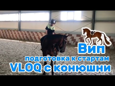 Видео: Влог с конюшни//VLOQ//подгатовка к стартам//Вип//