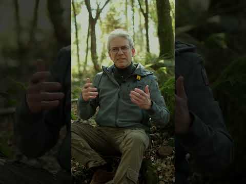 Видео: Осознанная фотография.   HD 1080p