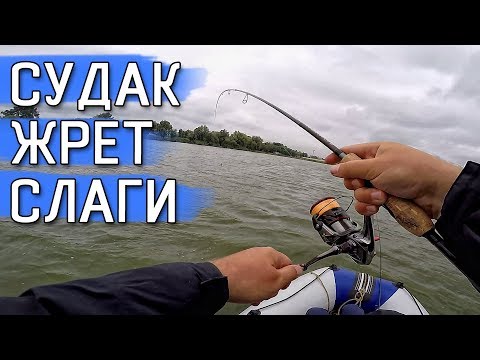 Видео: Судак их жрет взаглот! Ловля судака на слаги на джиг! Рыбалка на спиннинг 2019