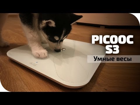 Видео: Picooc s3 недорогие умные весы