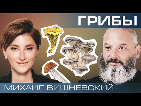 Видео: Грибы – наши союзники или враги? Миколог Михаил Вишневский