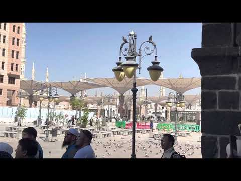 Видео: Мешіттермен таныстыру 3 (Медина)