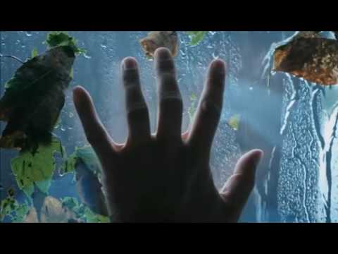 Видео: Максим Аверин читает стихотворение  Роберта Рождественского