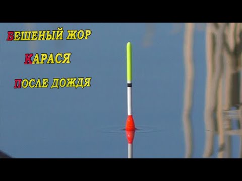 Видео: РЫБАЛКА НА ПОПЛАВОК!30 КГ КАРАСЕЙ НА УДОЧКУ!ПОКЛЕВКИ КРУПНЫМ ПЛАНОМ! РЫБАЛКА ранней весной