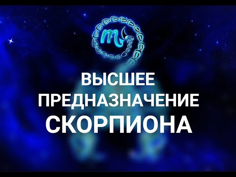 Видео: ВЫСШЕЕ ПРЕДНАЗНАЧЕНИЕ СКОРПИОНА.