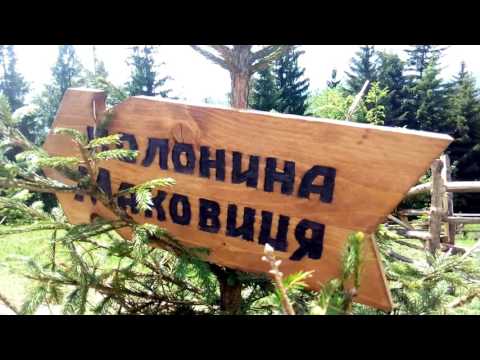 Видео: Полонина Маковиця