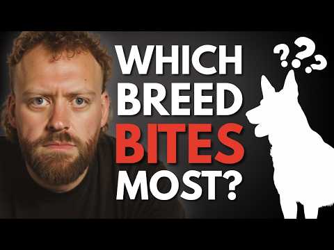Видео: Породы собак, которые чаще всего пытались меня укусить