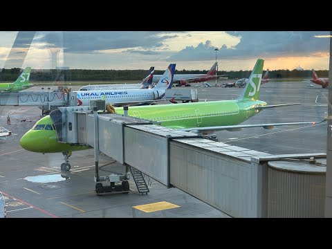 Видео: Перелет Новосибирск - Санкт-Петербург/ А\К S7 airlines/ Airbus a321neo