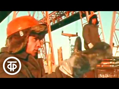 Видео: Притяжение БАМа. Документальный фильм (1979)