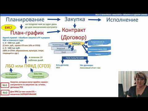 Видео: Все "подводные камни" закупок малого объема. Закупки по п.4,5 ч.1 ст. 93 Закона № 44-ФЗ "план-факт".