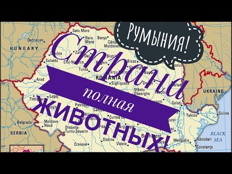 Видео: Страна полная животных!! |Видео на румынском языке с русскими субтитрами! Румыния | Румынский язык