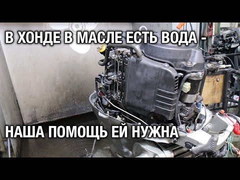 Видео: Попадает вода в масло. Капитальный ремонт лодочного мотора HONDA 40