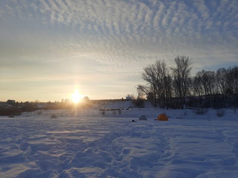 Видео: Первая рыбалка в 2023 году. Томь, Митрофаново.