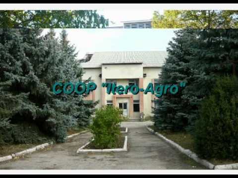 Видео: Фалештский район,с.Ишкалев