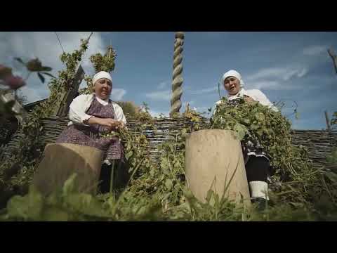Видео: Секреты под землей: Раскопки в Ядринском муниципальном округе, Чувашская Республика (лето 2024)