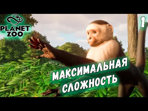 Видео: Planet Zoo #1 Максимальная сложность / КАПУЦИНЫ