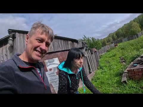 Видео: Картошка 2025.