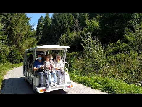 Видео: Східниця від п'ятизіркового Три сини і донька вниз на ринок, електромобілі