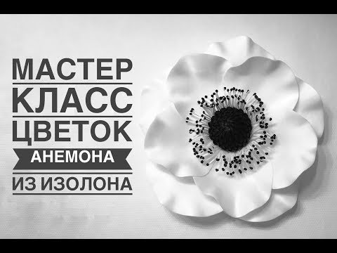 Видео: Большой цветок Анемона / DIY how to make a big flower anemone /Anêmona flor grande DIY