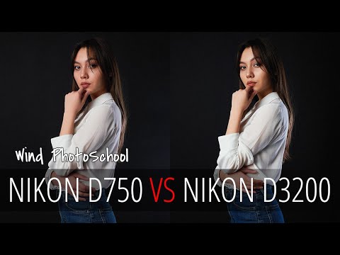 Видео: Сравнение любительского и профессионального фотоаппарата (Nikon d750 VS Nikon d3200)