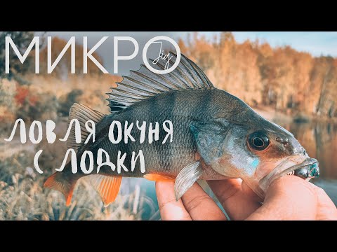 Видео: Рыбалка с отцом на ультралайт с лодки ► МИКРОДЖИГ
