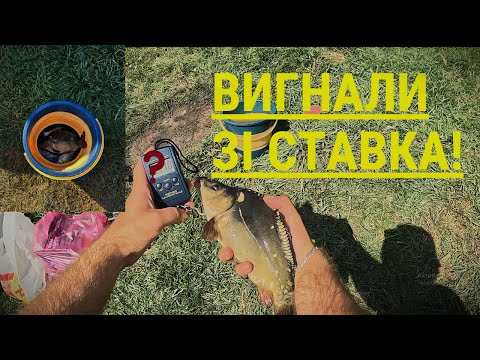 Видео: Не дали рибалити... А карп вже на гачку!