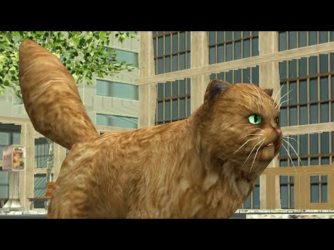 Видео: играю в cat sim