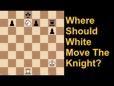 Видео: Найдите выигрышный ход коня!