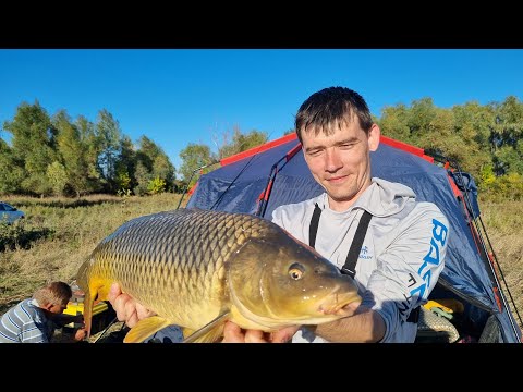 Видео: Ловля сазана на Ахтубе. Осень 2023.