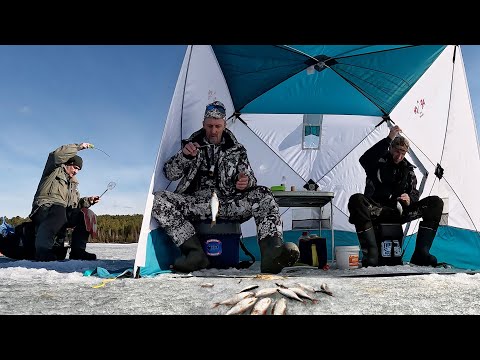 Видео: Наловили сороги! Отвели душу на закрытие зимнего сезона