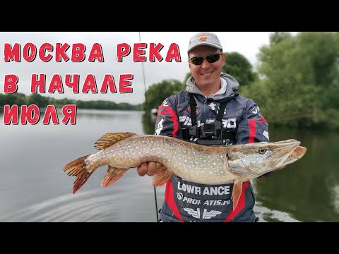 Видео: Москва река ловля на спиннинг в начале июля