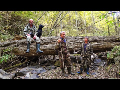 Видео: Юные Пенсионеры Натуралисты. Ущелье Плачущих Душ. Тайга Приморская Дальневосточная.