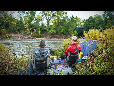 Видео: Вторая по величине рыба в моей ЖИЗНИ (на речном острове!)