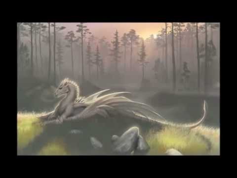 Видео: медитация драконы