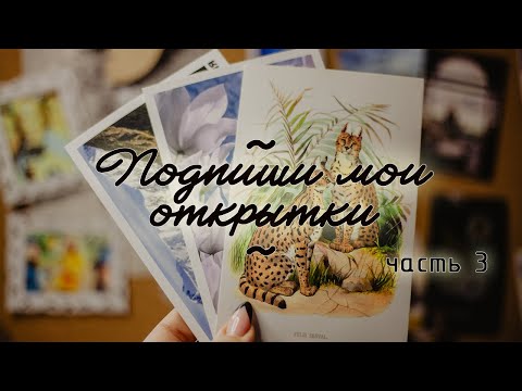 Видео: Подпиши мои открытки. Часть 3