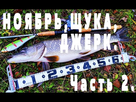 Видео: ЖОР ЩУКИ. НОЯБРЬ, ЩУКА, ДЖЕРК. Часть 2.